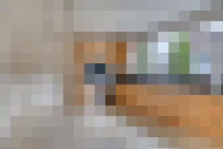 Ettensestraat 22 Terborg thumbnail 7