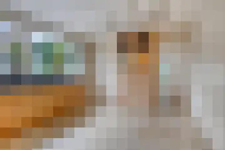 Ettensestraat 22 Terborg thumbnail 9