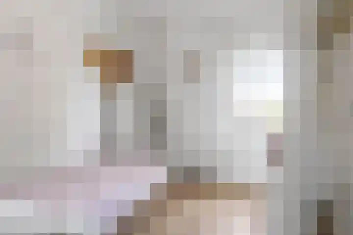 Ettensestraat 42 Terborg thumbnail 32