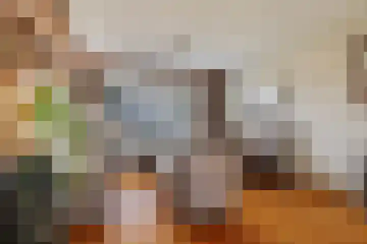 Ettenseweg 12 Rijsbergen thumbnail 14