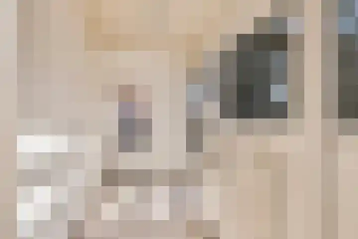 Ettenseweg 12 Rijsbergen thumbnail 17