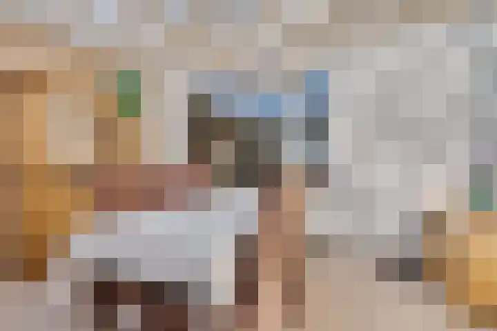 Ettenseweg 12 Rijsbergen thumbnail 19