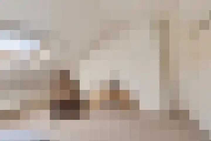 Ettenseweg 12 Rijsbergen thumbnail 31