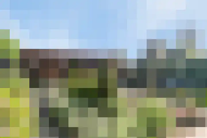 Ettenseweg 12 Rijsbergen thumbnail 35