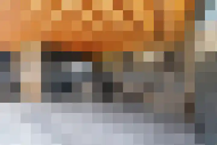 Ettenseweg 12 Rijsbergen thumbnail 36