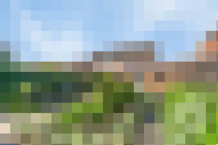 Ettenseweg 12 Rijsbergen thumbnail 38