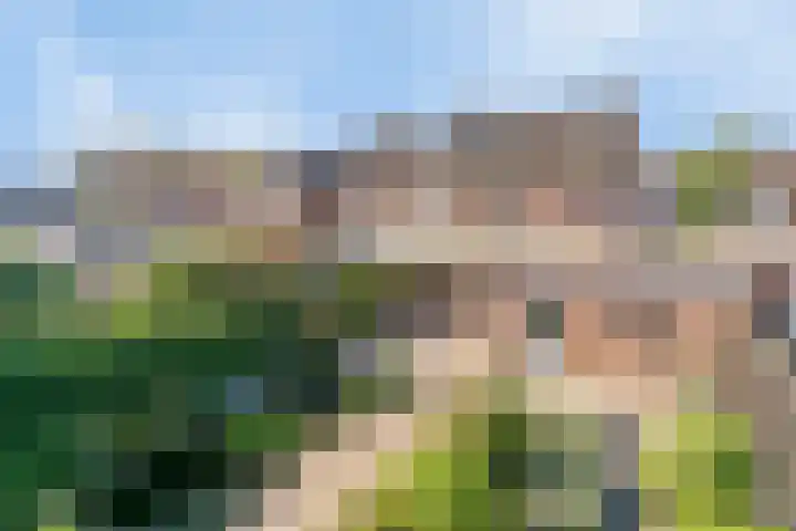 Ettenseweg 12 Rijsbergen thumbnail 40