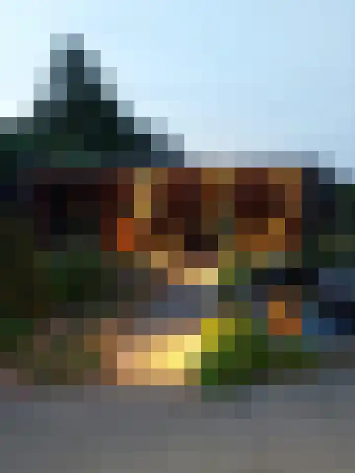 Ettenseweg 12 Rijsbergen thumbnail 41