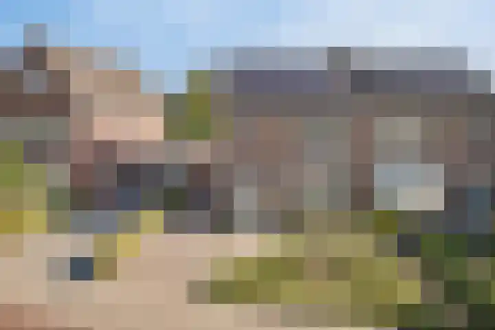 Ettenseweg 12 Rijsbergen thumbnail 7
