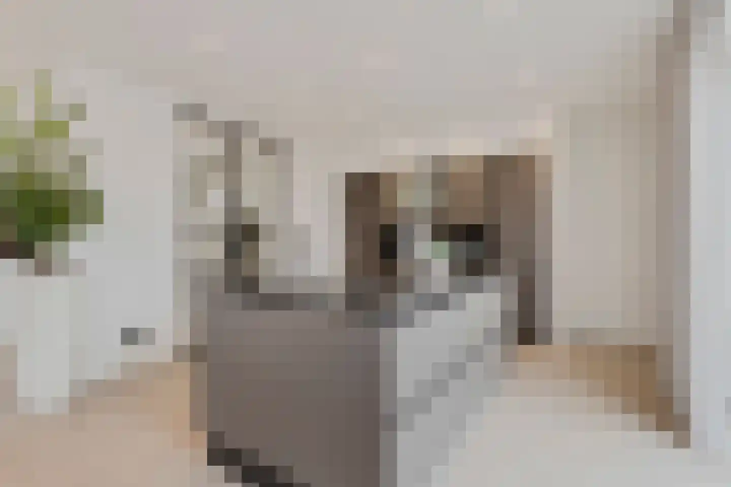 Ettenseweg 34 Sprundel thumbnail 10
