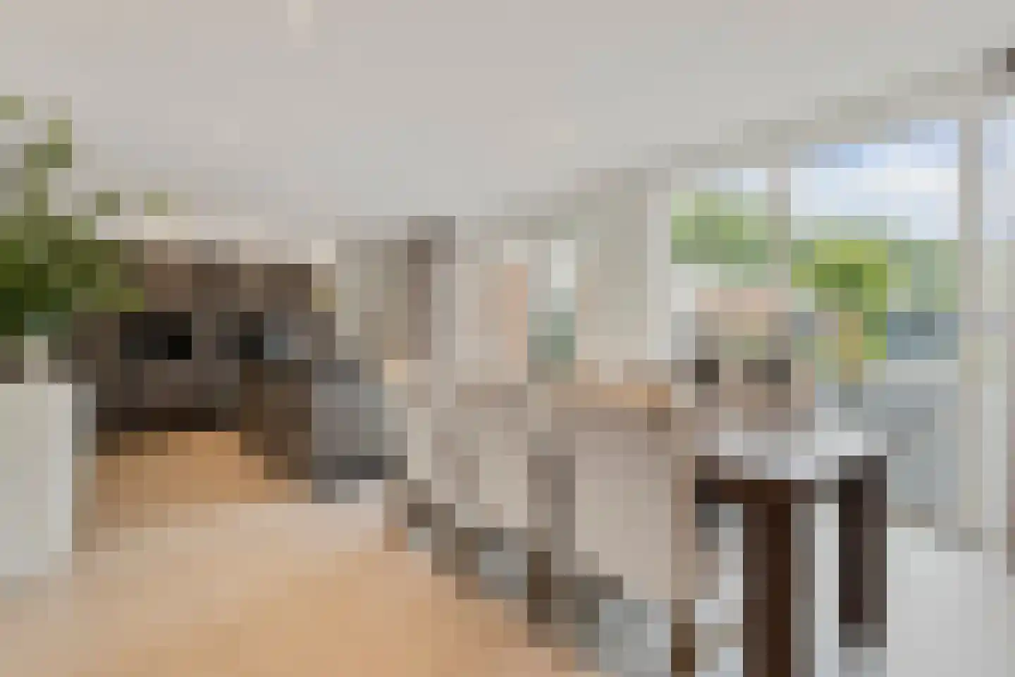 Ettenseweg 34 Sprundel thumbnail 13