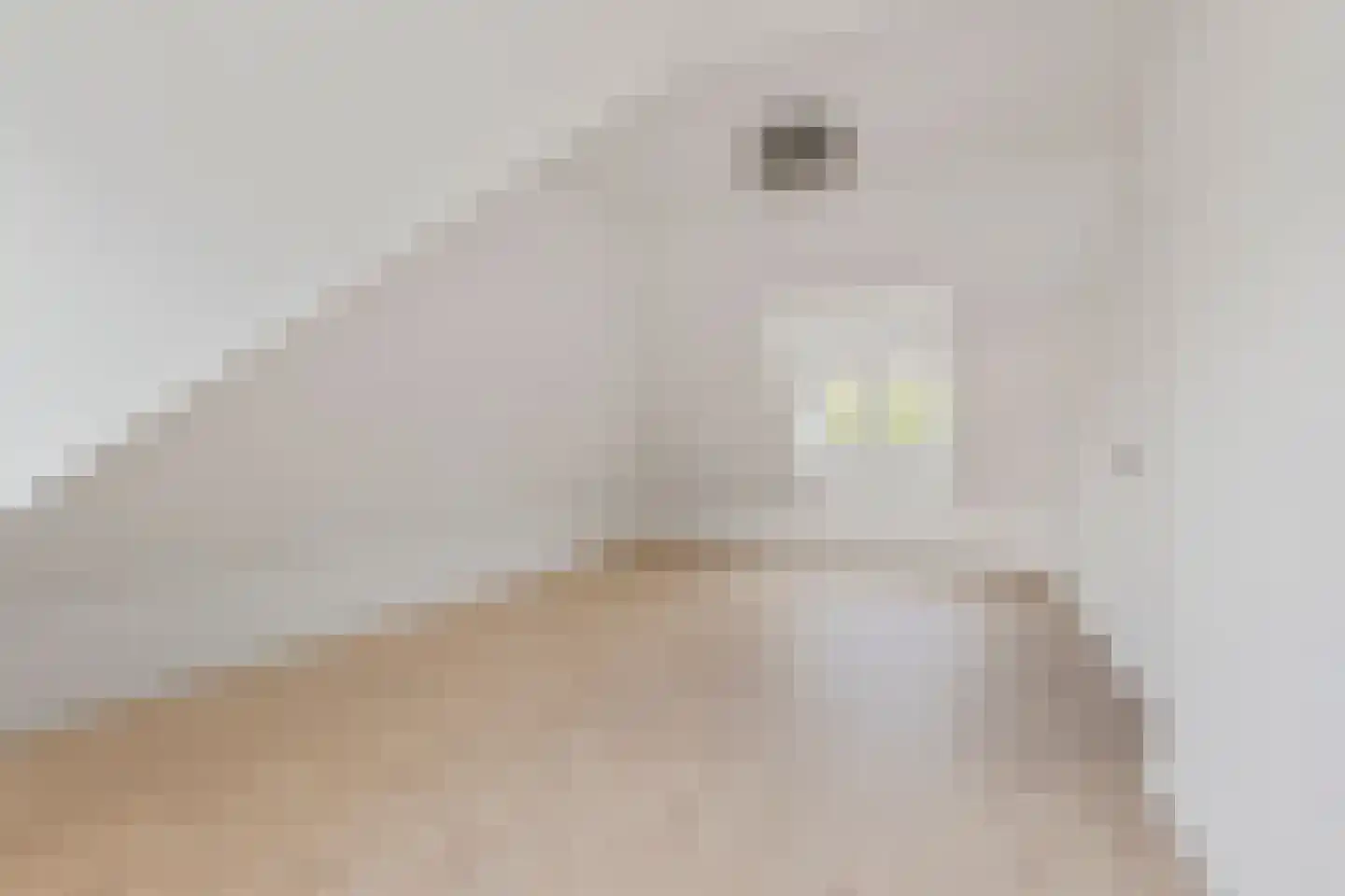 Ettenseweg 34 Sprundel thumbnail 45