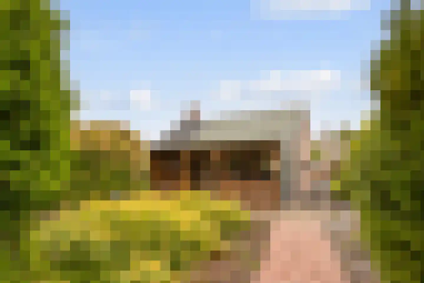 Ettenseweg 34 Sprundel thumbnail 52