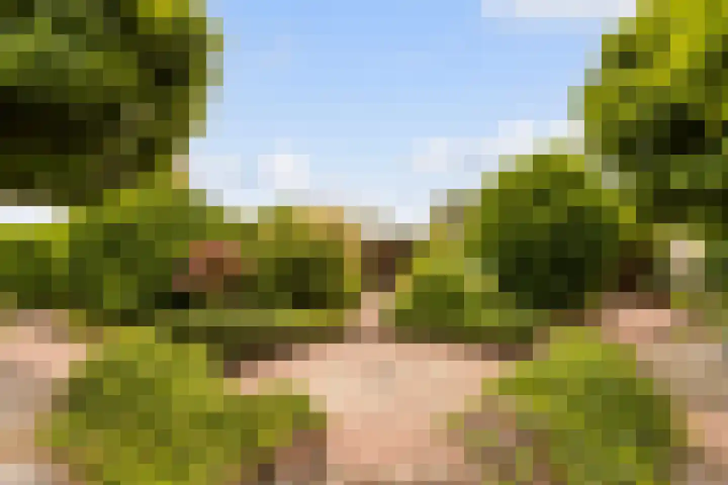 Ettenseweg 34 Sprundel thumbnail 56