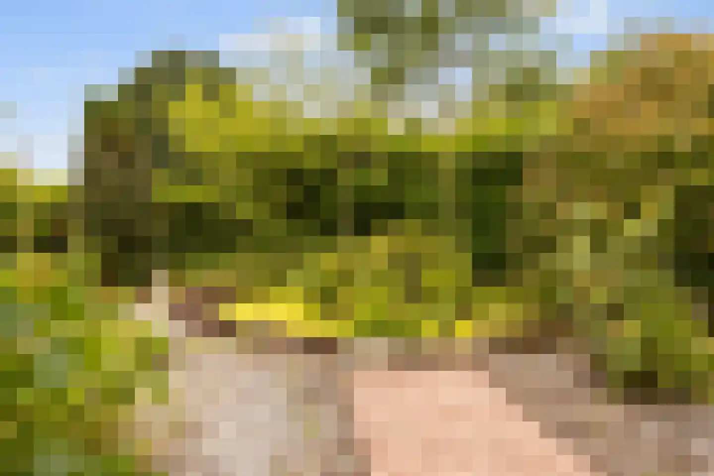 Ettenseweg 34 Sprundel thumbnail 57