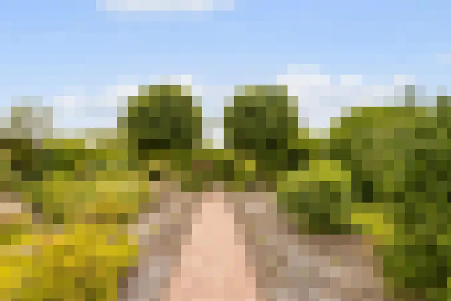 Ettenseweg 34 Sprundel thumbnail 58