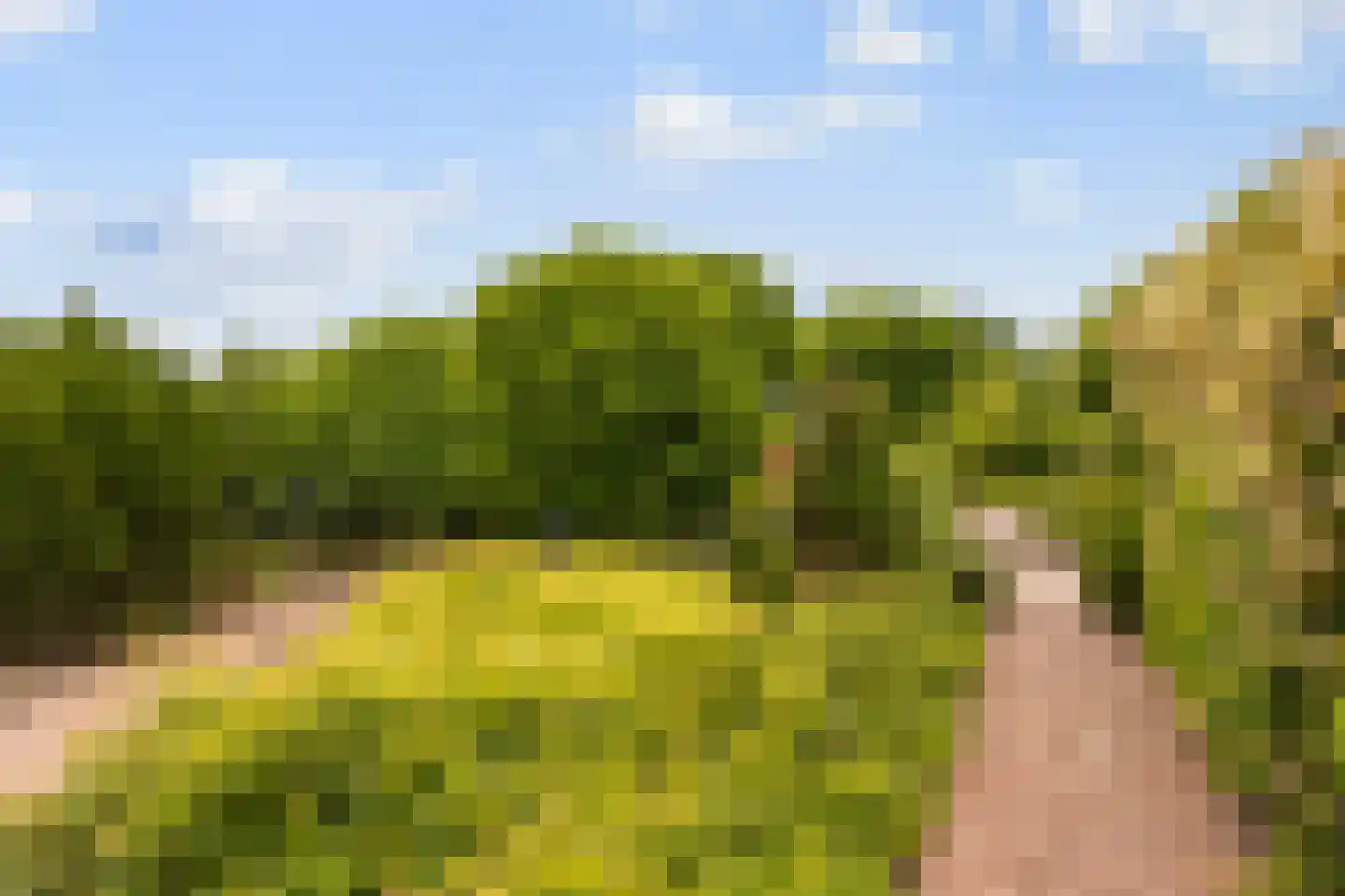 Ettenseweg 34 Sprundel thumbnail 59