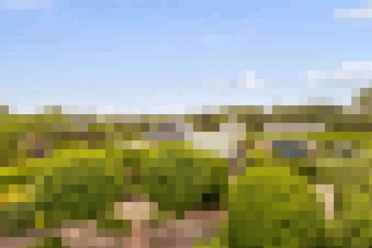 Ettenseweg 34 Sprundel thumbnail 61