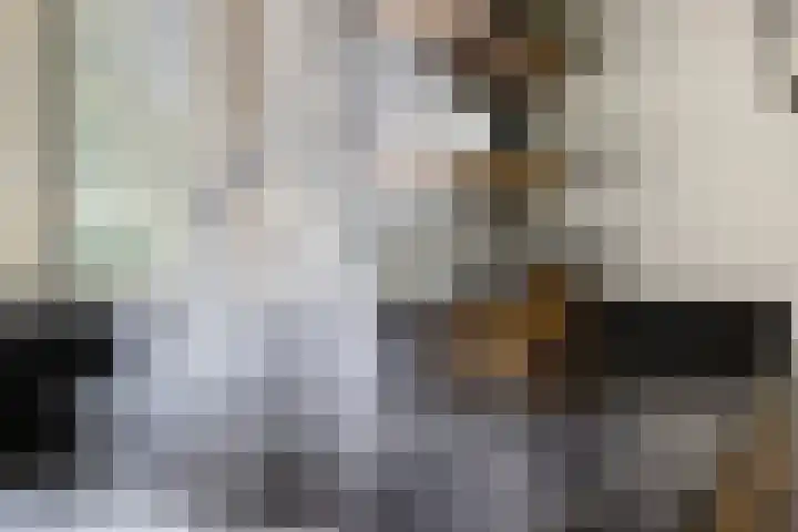 Ettenseweg 35 Sprundel thumbnail 13