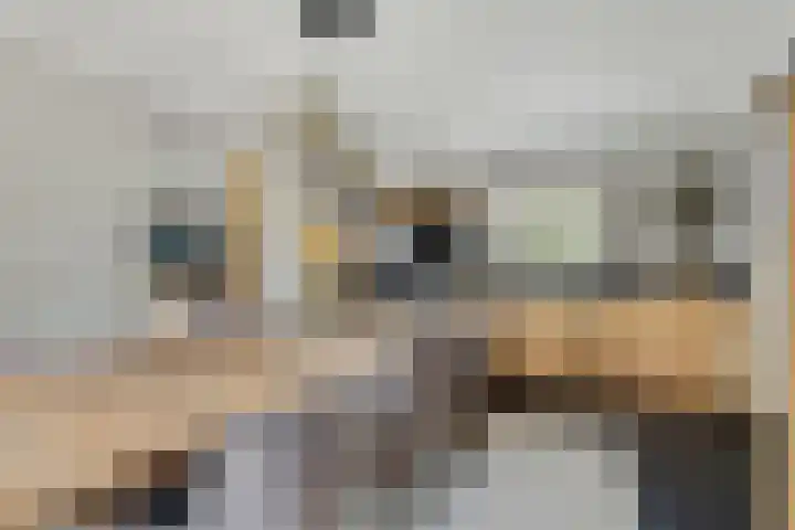 Ettenseweg 35 Sprundel thumbnail 15