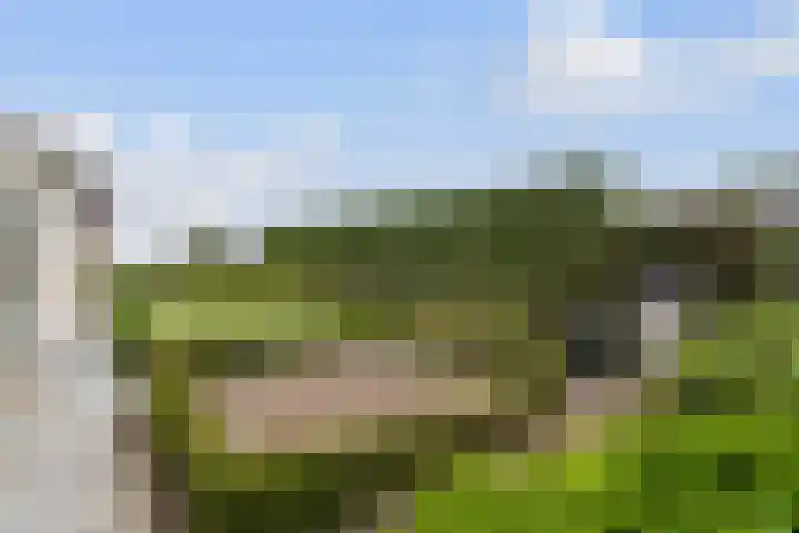Ettenseweg 35 Sprundel thumbnail 28