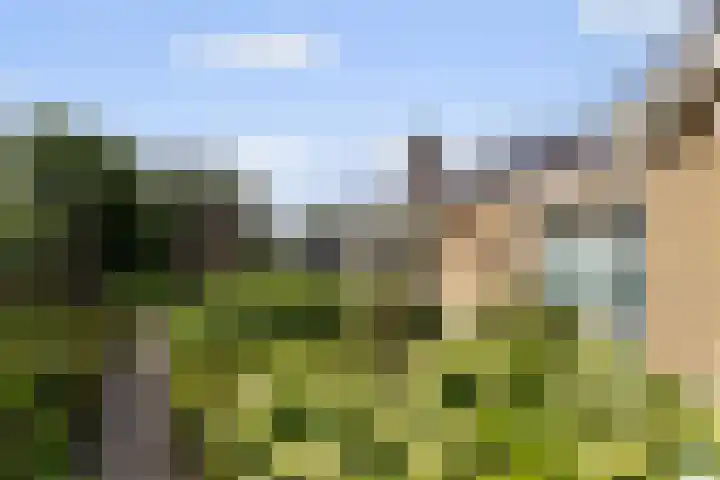Ettenseweg 35 Sprundel thumbnail 30