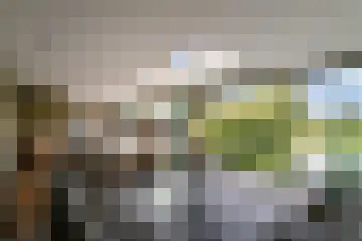 Ettenseweg 35 Sprundel thumbnail 42