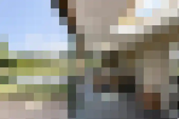 Ettenseweg 35 Sprundel thumbnail 44