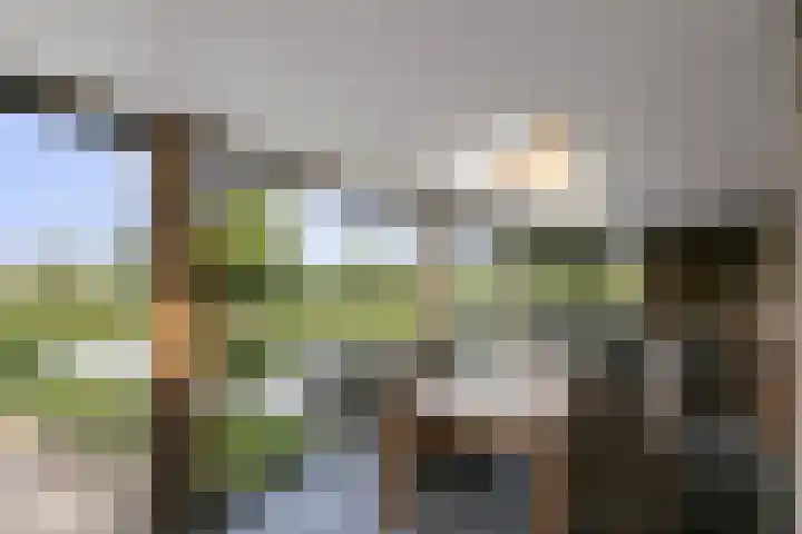 Ettenseweg 35 Sprundel thumbnail 45