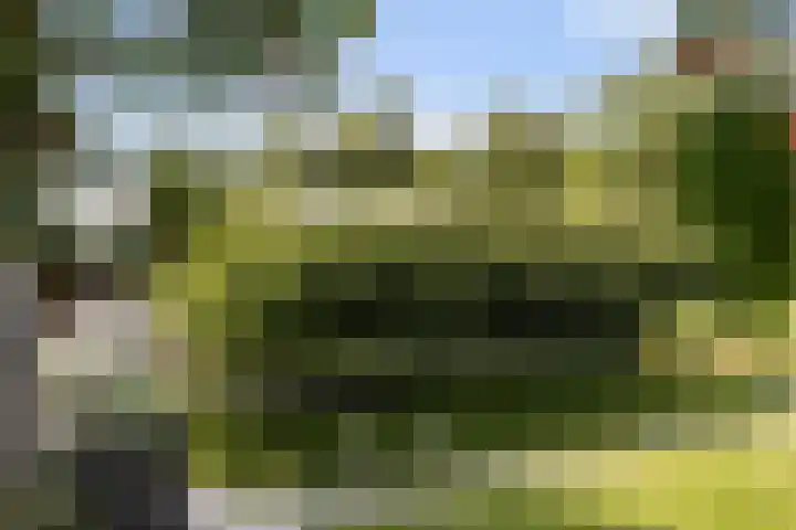 Ettenseweg 35 Sprundel thumbnail 47