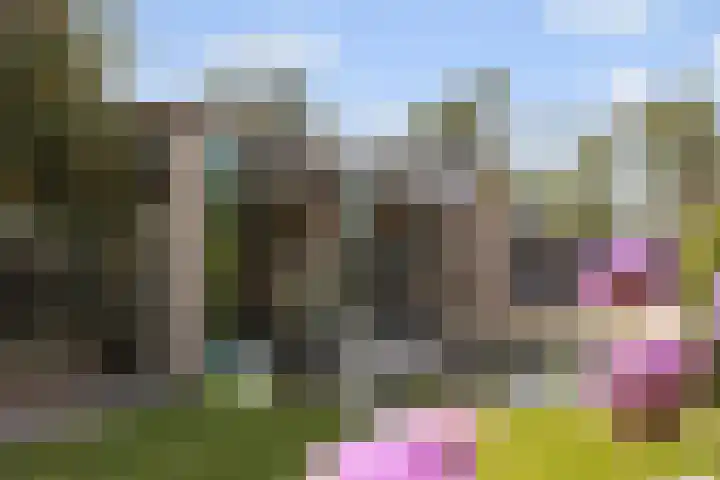 Ettenseweg 35 Sprundel thumbnail 48