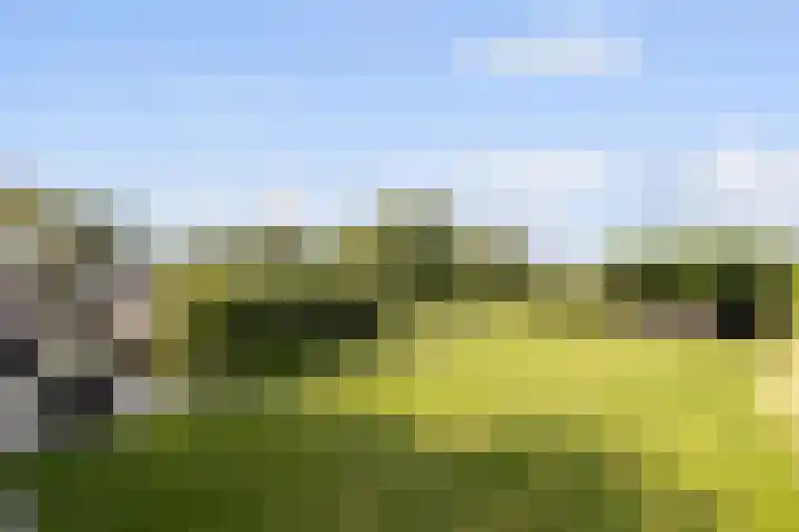 Ettenseweg 35 Sprundel thumbnail 49