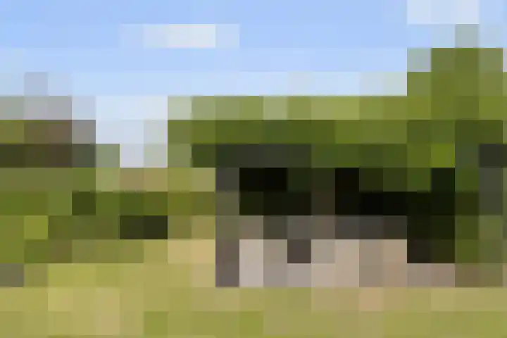 Ettenseweg 35 Sprundel thumbnail 50