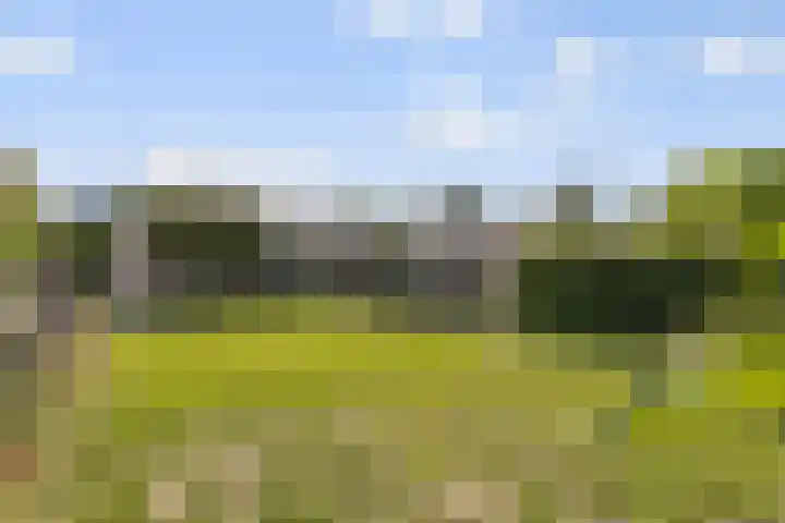 Ettenseweg 35 Sprundel thumbnail 51