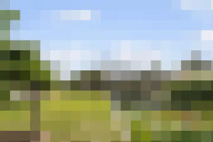 Ettenseweg 35 Sprundel thumbnail 52
