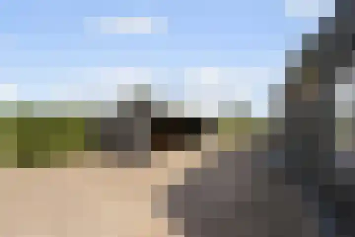 Ettenseweg 35 Sprundel thumbnail 55