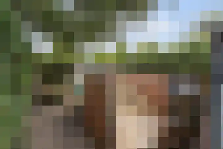 Ettenseweg 35 Sprundel thumbnail 58