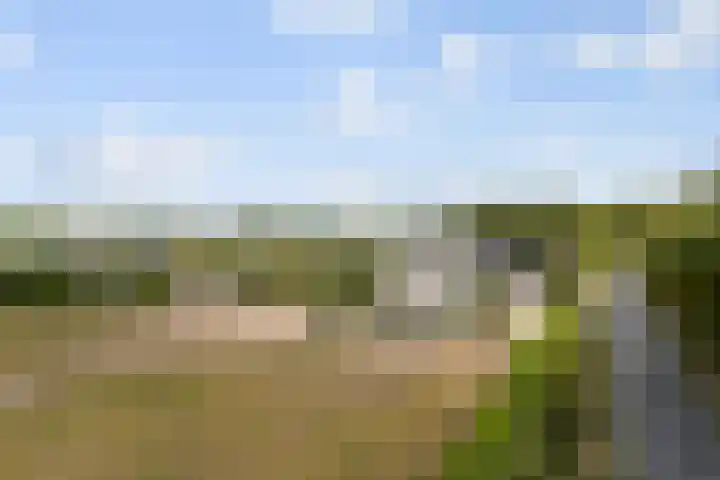 Ettenseweg 35 Sprundel thumbnail 66