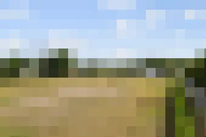 Ettenseweg 35 Sprundel thumbnail 67