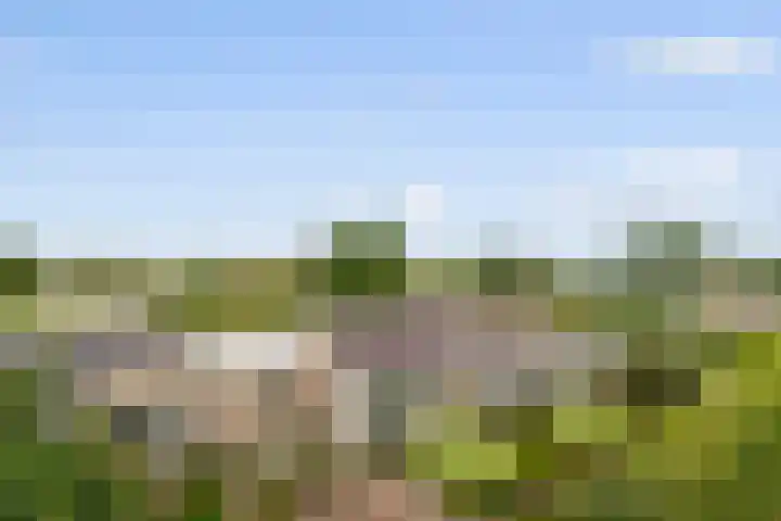 Ettenseweg 35 Sprundel thumbnail 71