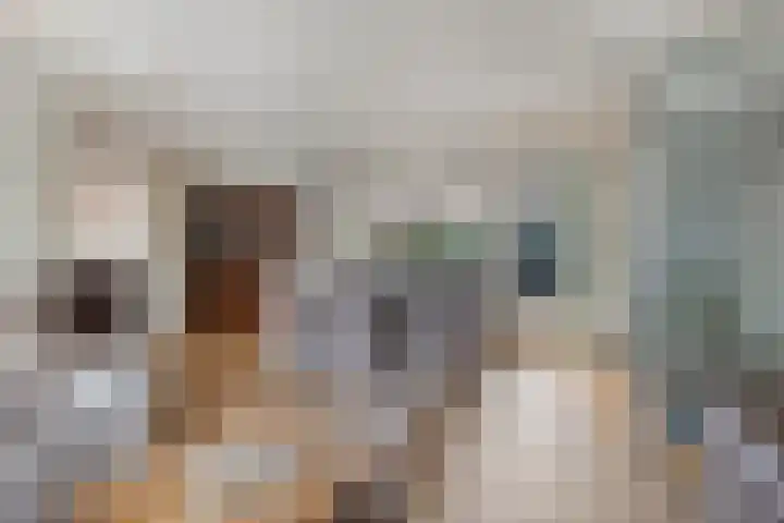 Ettenseweg 37 Rijsbergen thumbnail 11