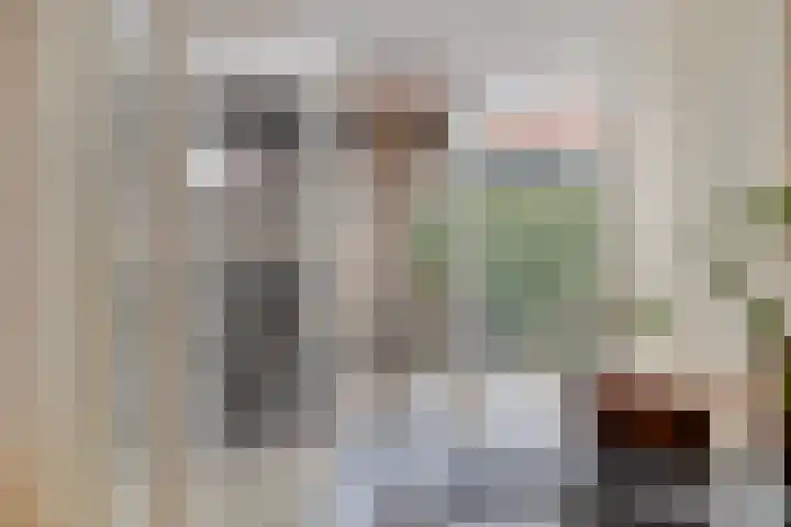 Ettenseweg 37 Rijsbergen thumbnail 19