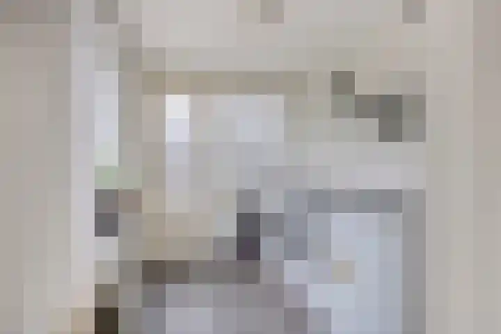 Ettenseweg 37 Rijsbergen thumbnail 21