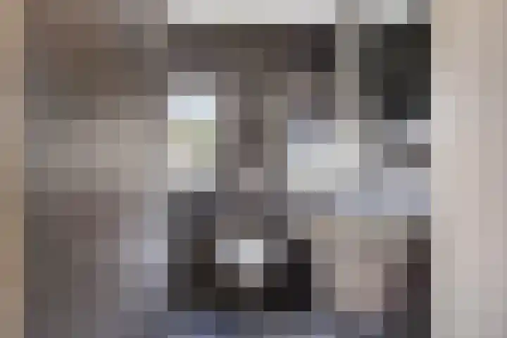 Ettenseweg 37 Rijsbergen thumbnail 25