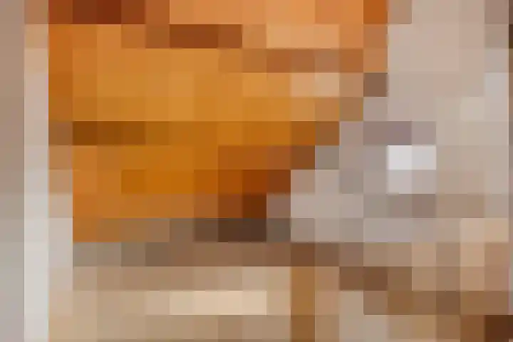 Ettenseweg 37 Rijsbergen thumbnail 30