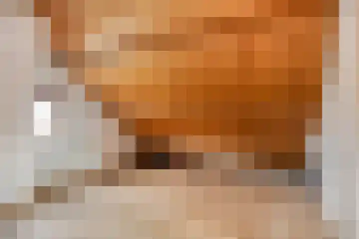 Ettenseweg 37 Rijsbergen thumbnail 32