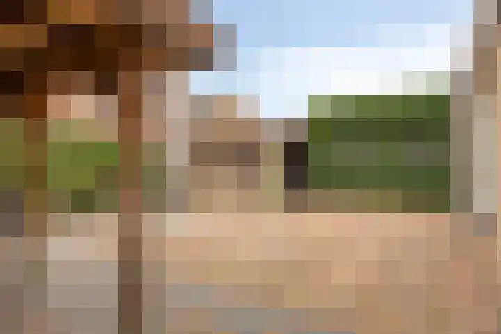 Ettenseweg 37 Rijsbergen thumbnail 34