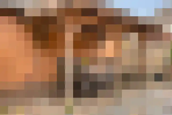 Ettenseweg 37 Rijsbergen thumbnail 36