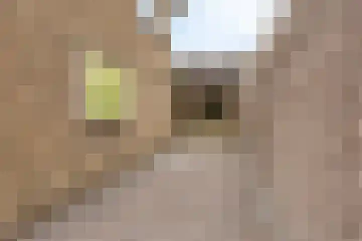 Ettenseweg 37 Rijsbergen thumbnail 39
