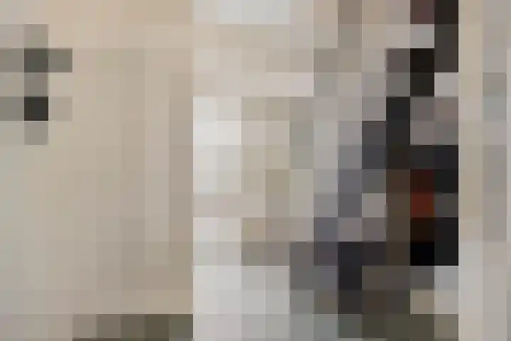 Ettenseweg 37 Rijsbergen thumbnail 4